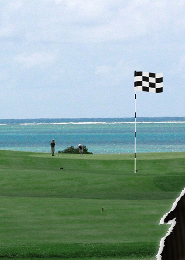 A checkered practice flag on a pin standing in a backyard green